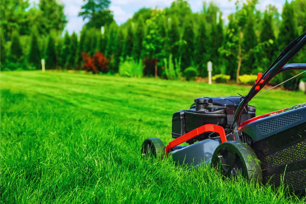 lawn mower cutting grass