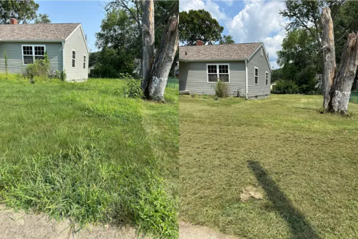 lawn mowing before-after