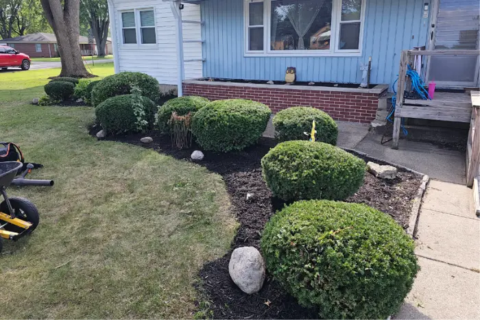 laying mulch before-after